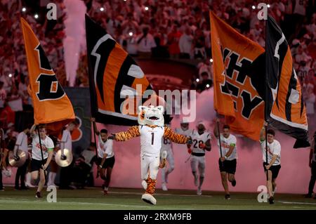 Cincinnati, United States. 25th Sep, 2023. Cincinnati Bengals takes to the field for their game against the Los Angeles Rams at Paycor Stadium on Monday, September 25, 2023 in Cincinnati, Ohio. Photo by John Sommers II/UPI Credit: UPI/Alamy Live News Stock Photo