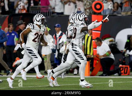 Cincinnati Bengals linebacker Logan Wilson (55) smiles from the sidelines  during an NFL football game against the Carolina Panthers, Sunday, Nov. 6,  2022, in Cincinnati. (AP Photo/Emilee Chinn Stock Photo - Alamy