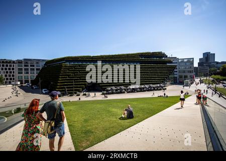 view from the walkable, green roof of the triangular pavilion to the Koe-Bogen II building with its green facade, Ingenhoven Valley, Gustaf-Gruendgens Stock Photo