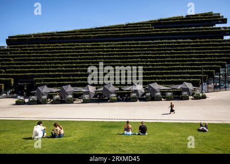 view from the walkable, green roof of the triangular pavilion to the Koe-Bogen II building with its green facade, Ingenhoven Valley, Gustaf-Gruendgens Stock Photo