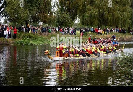 Dragon boat racing, River Avon, Warwick, Warwickshire, England, UK Stock Photo