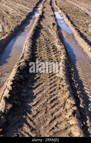 deep ruts from cars in the mud of the field, a field with puddles after rain with ruts from cars in the soil Stock Photo