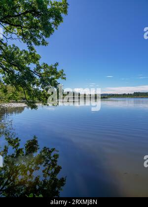 Maisinger See nature reserve near Maising, Upper Bavaria, Bavaria, Germany, Europe Stock Photo