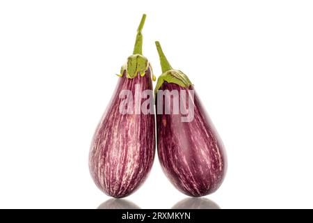 Two organic ripe eggplants, macro, isolated on white background. Stock Photo