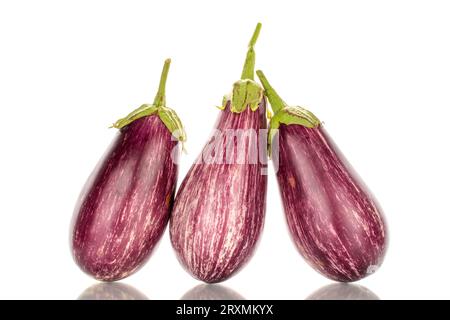 Three organic ripe eggplants, macro, isolated on white background. Stock Photo