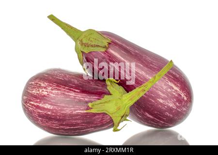Two organic ripe eggplants, macro, isolated on white background. Stock Photo