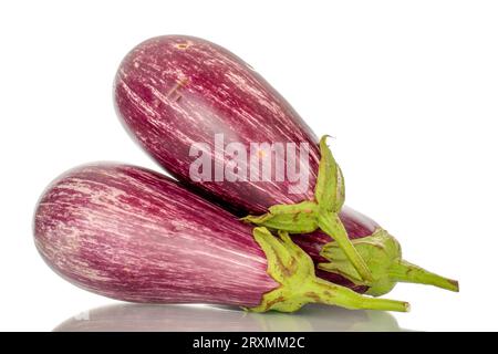 Three organic ripe eggplants, macro, isolated on white background. Stock Photo