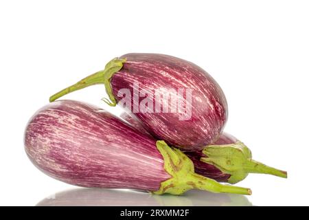 Three organic ripe eggplants, macro, isolated on white background. Stock Photo
