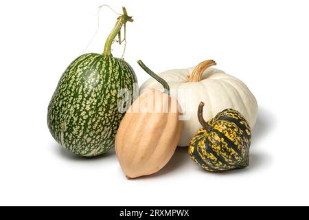 Variation of fresh raw edible pumpkins isolated on white background close up Stock Photo