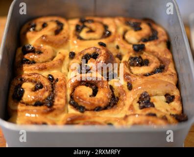 Chelsea Buns Stock Photo
