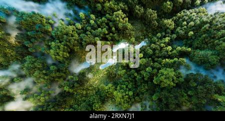 Footprint-shaped lake in a verdant forest, emblematic of human impact on terrain, with undertones of climate protection and nature conservation. 3d re Stock Photo