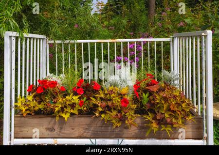 Scences and close ups of plants and flowers with in this public garden. Stock Photo