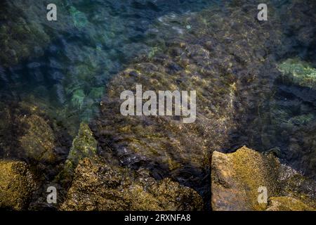 Top view on sea water with underwater stones, nature background Stock Photo