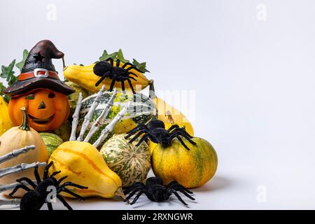 Various decorative pumpkins with ivy vine, skeleton hands, Halloween pumpkin and spiders, white background, copy space Stock Photo