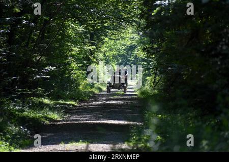 Excursion in the forest with a vintage tractor Eicher Diesel, Emmerting, Bavaria, Germany Stock Photo