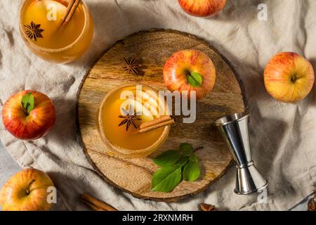 Refreshing Boozy Apple Cider Margarita with Tequila and Cinnamon Stock Photo