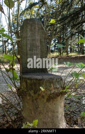 Chair made on tree trunk in Turin (Italy) Stock Photo