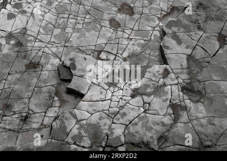 Cracked and dried mud surface creating natural geometric patterns Stock Photo