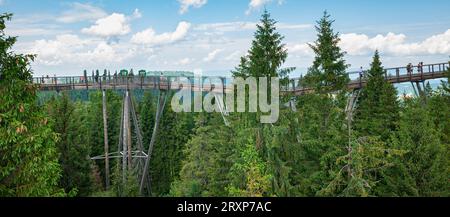 Panoramic view of a wooden walkway in Bachledka treetop walk in Pieniny National Park, Slovakia. Stock Photo