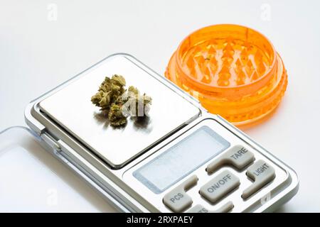 https://l450v.alamy.com/450v/2rxpaey/weighing-buds-of-medical-cannabis-marijuana-on-a-electronic-scale-next-to-a-grinder-smoking-weed-vaping-pot-recreational-drugs-distribution-dealing-2rxpaey.jpg