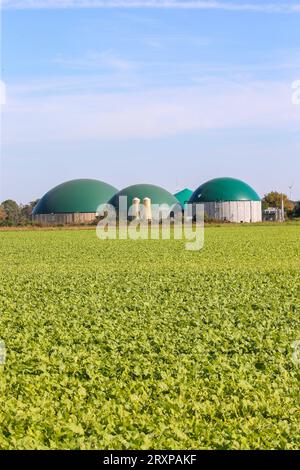 Modern biogas plant between several fields in rural region with sunset  background, Bioenergy plant utilizing organic waste, Generative Ai 32331530  Stock Photo at Vecteezy