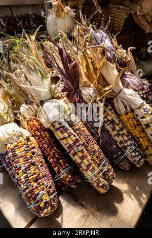 Ward's berry farm is a fun family destinations in the autumn months, 2023, Sharon, Massachusetts, United States Stock Photo