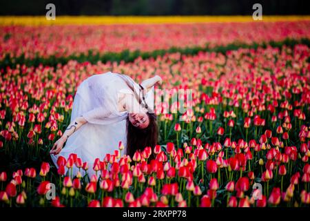 Long-haired brunette bending over backwards in vast tulip field Stock Photo