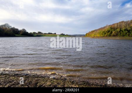 View of Bewl Water reservoir in autumn, Kent, England Stock Photo