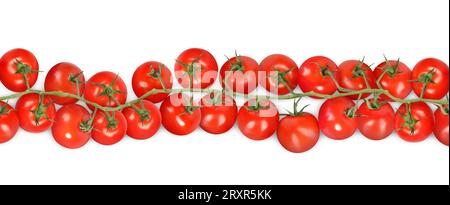 Branch with fresh ripe cherry tomatoes on white background, banner design Stock Photo