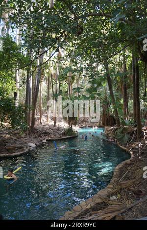 People floating in water with pool noodles at Mataranka Thermal Pool and Rainbow Springs, northern territory, australia Stock Photo