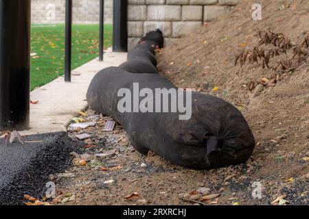 Installed storm water, drainage, straw wattles providing erosion and sediment control. Stock Photo