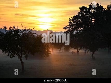 Dresden, Germany. 27th Sep, 2023. Ground fog moves over the Elbe meadows near the Ferry Garden in the morning during sunrise. Credit: Robert Michael/dpa/Alamy Live News Stock Photo