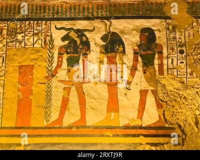 Reliefs and paintings in the tomb of Nefertari, the Great Wife of Pharaoh Ramesses II, Valley of the Queens, UNESCO World Heritage Site, Thebes Stock Photo