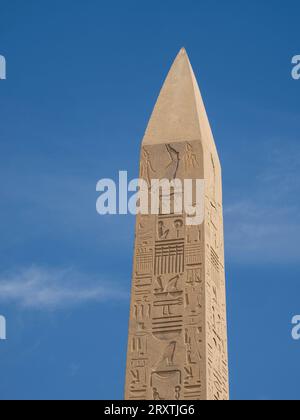 Obelisk of Thutmosis I, Karnak Temple Complex, comprises a vast mix of temples, pylons, and chapels, UNESCO World Heritage Site, near Luxor, Thebes Stock Photo