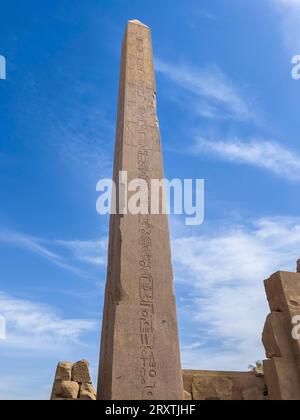 Obelisk of Thutmosis I, Karnak Temple Complex, comprises a vast mix of temples, pylons, and chapels, UNESCO World Heritage Site, near Luxor, Thebes Stock Photo