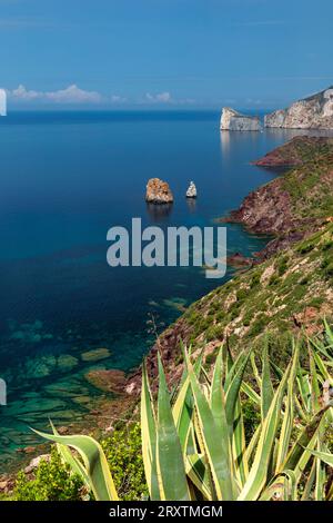 Costa Verde with Pan de Zucchero and Agusteri rock, Nebida, Sud Sardegna district, Sardinia, Italy, Mediterranean, Europe Stock Photo