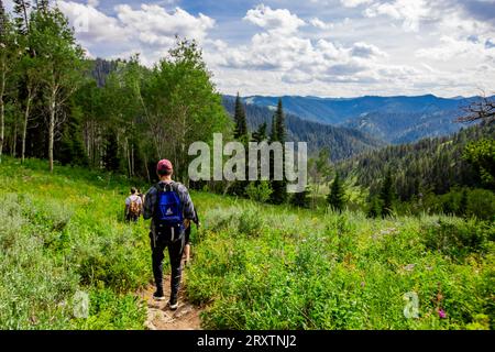 Walkers on Grand Teton National Park trails, Wyoming, United States of America, North America Stock Photo