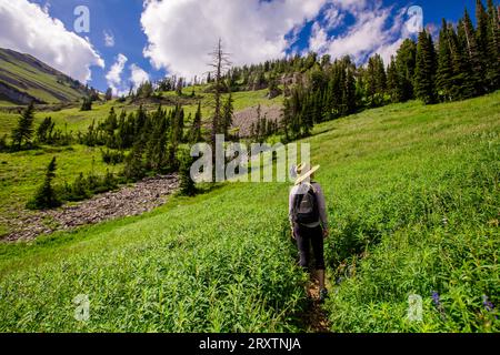 Walkers on Grand Teton National Park trails, Wyoming, United States of America, North America Stock Photo