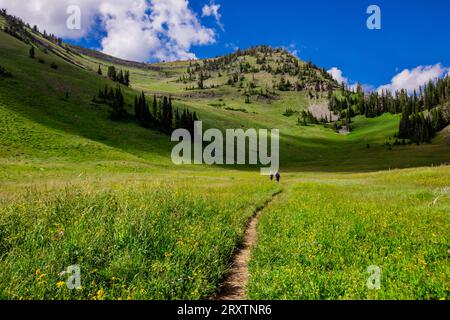 Grand Teton National Park trails, Wyoming, United States of America, North America Stock Photo