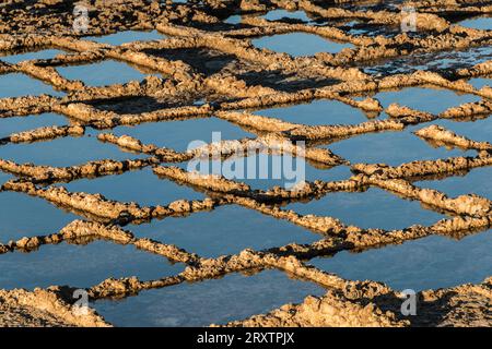 salt marshes in the Gozo island, Malta Stock Photo