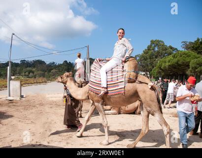 A young woman in Tunis begins her sightseeing tour on a dromedary Stock Photo