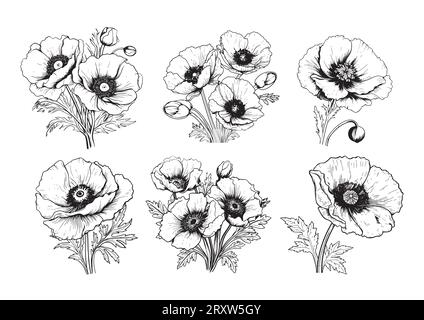 Poppy collection sketch hand drawn in comic style.Vector Wild flowers Stock Vector