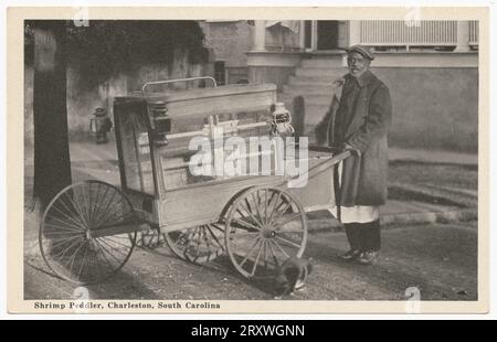 Postcard with a black and white photograph of a man pushing a three wheeled cart. The man stands in the right third of the image and his cart is in the left two-thirds.  He stands on a street corner near a house with a large porch. At his feet, in front of the rear wheel nearest the viewer, is a cat.  Below the image in the lower left corner is black text 'Shrimp Peddler, Charleston, South Carolina'. The back of the postcard is divided into two portions. Down the center of the back is a vertical line of black text ''Natural-Finish' Card -- Advertising Service Agency, Charleston, S.C.' Stock Photo