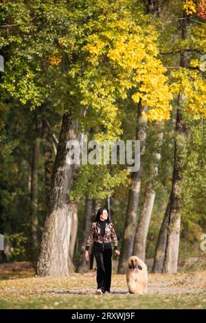 Womand and dog walking in the autumn woods Stock Photo