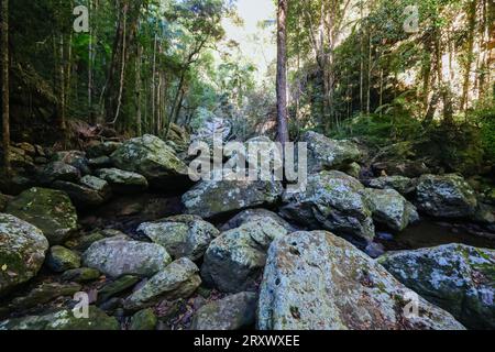 Kondalilla Falls Circuit at Kondalilla Falls in Kondalilla National Park on a warm sunny winter's day near Montville in Queensland, Australia Stock Photo