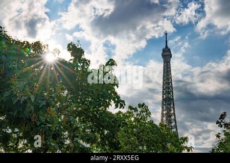 Eiffel Tower with starburst sun peeking through the trees. Stock Photo
