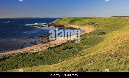 967 Cowrie Beach northeast end at low tide in the evening as seen from Sunset Lookup, Phillip island. VIC-Australia. Stock Photo