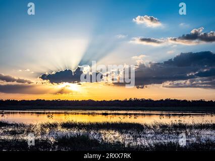 Sun with sun rays in blue sky with clouds at unset over Myakka River State Park in Sarasota Florida USA Stock Photo