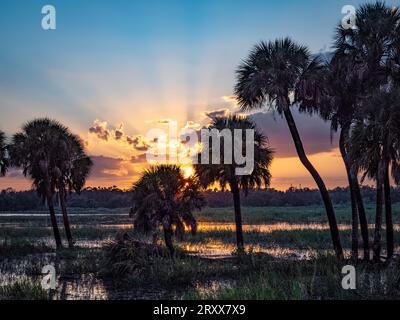Sun with sun rays in blue sky with clouds at unset over Myakka River State Park in Sarasota Florida USA Stock Photo