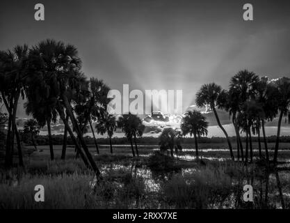 Infrared Red black and white image of sun with sun rays with clouds at sunset over Myakka River State Park in Sarasota Florida USA Stock Photo